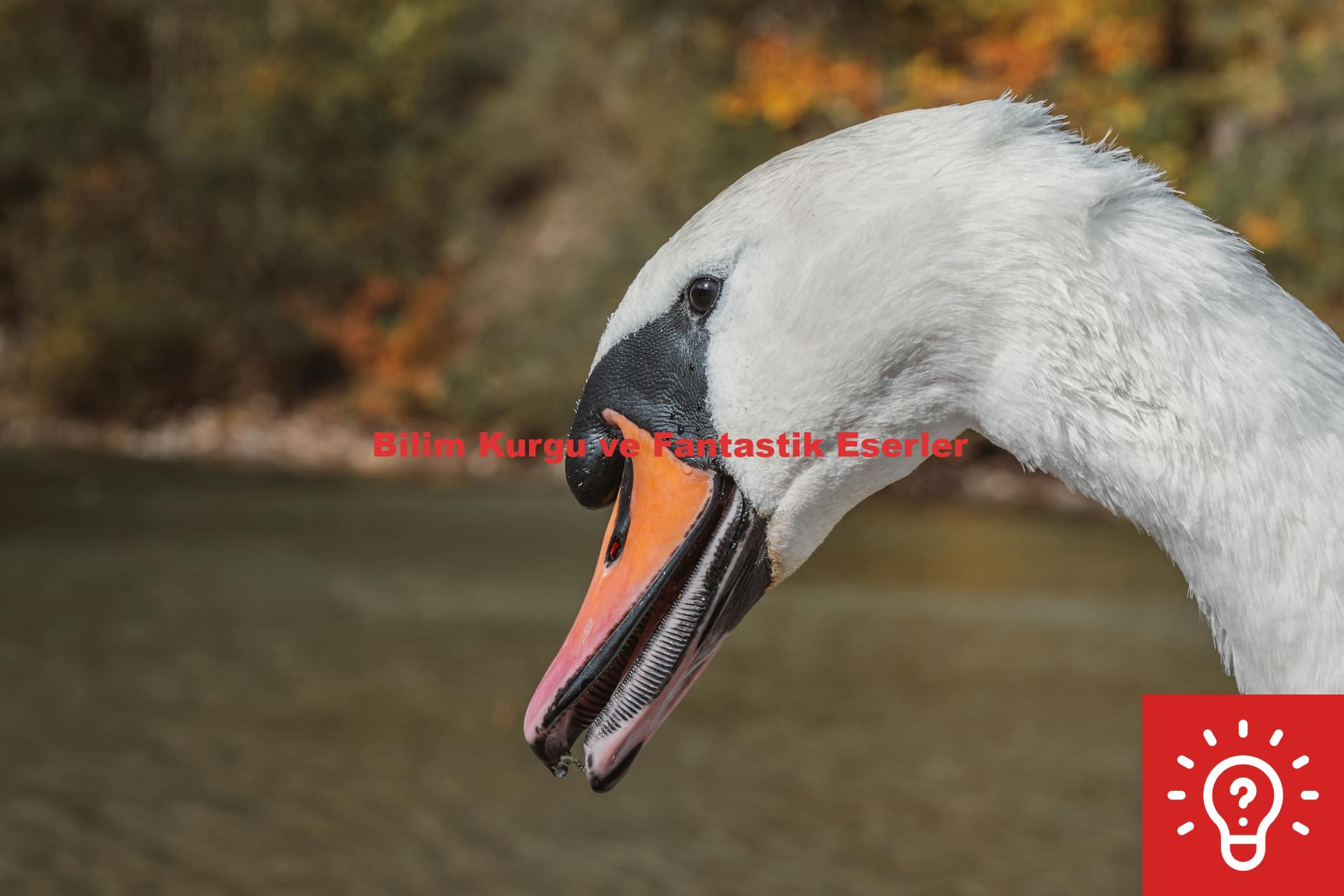 Bilim Kurgu ve Fantastik Eserler