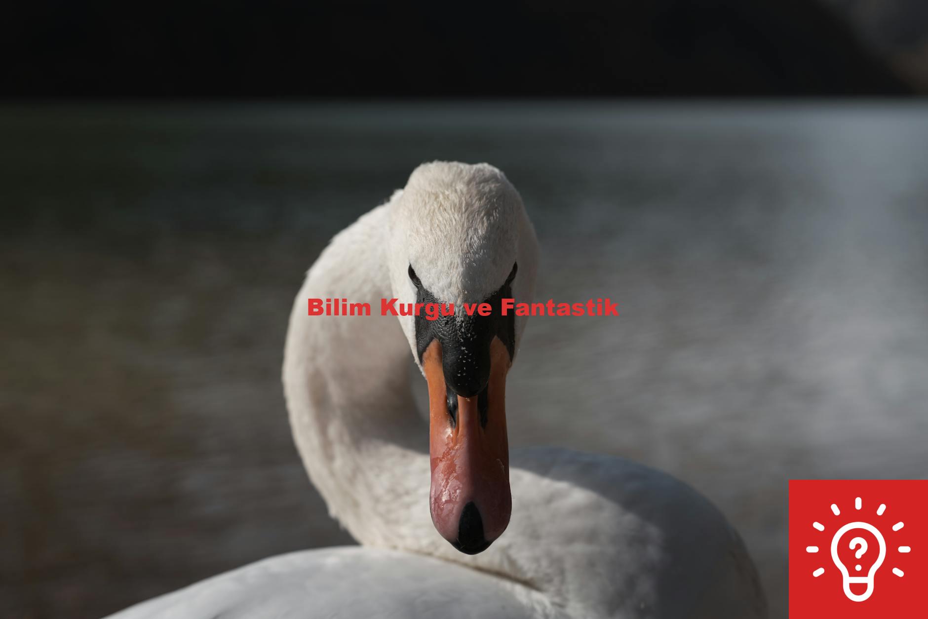 Bilim Kurgu ve Fantastik