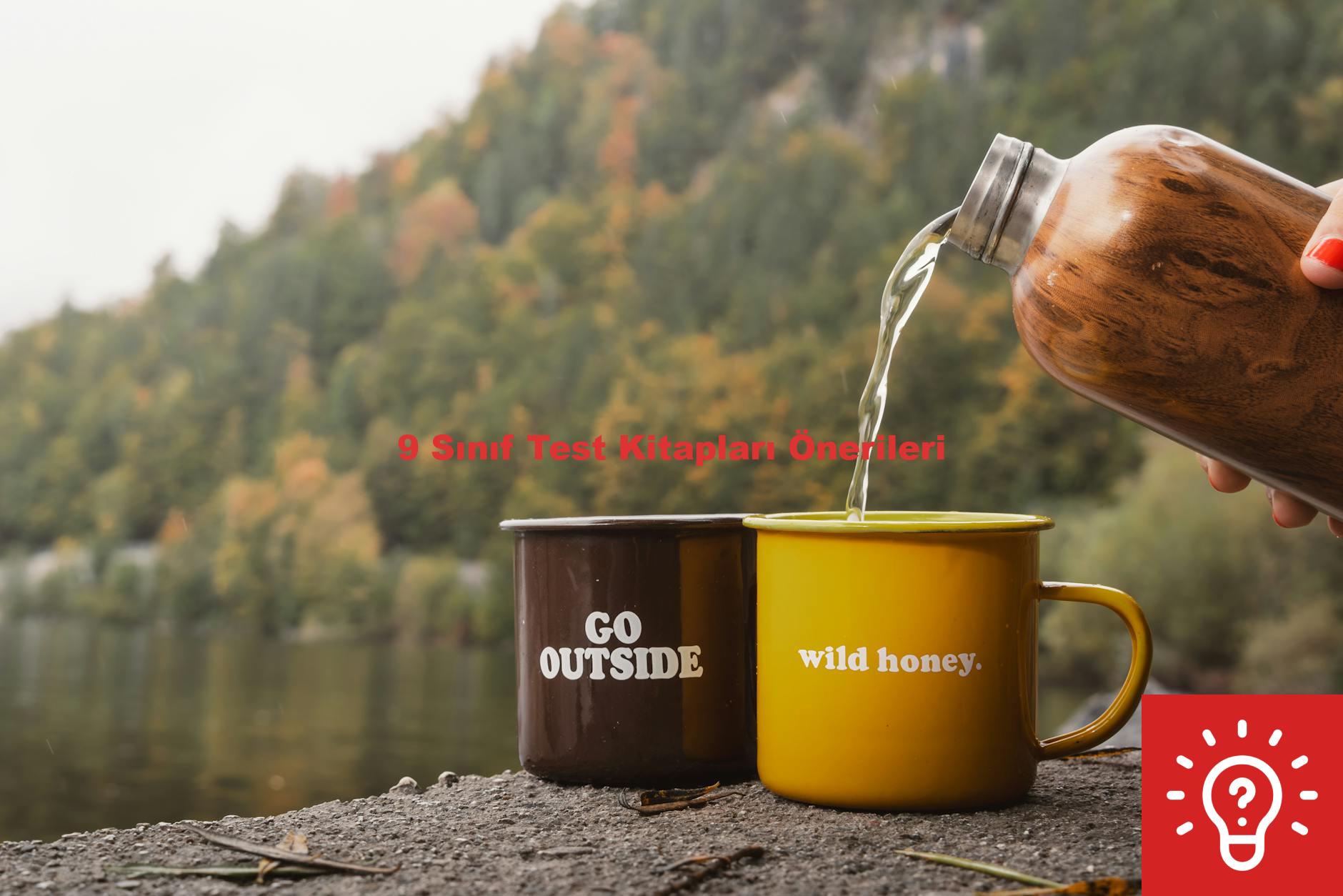 9 Sınıf Test Kitapları Önerileri