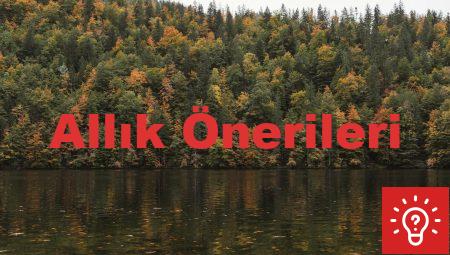 Allık Önerileri
