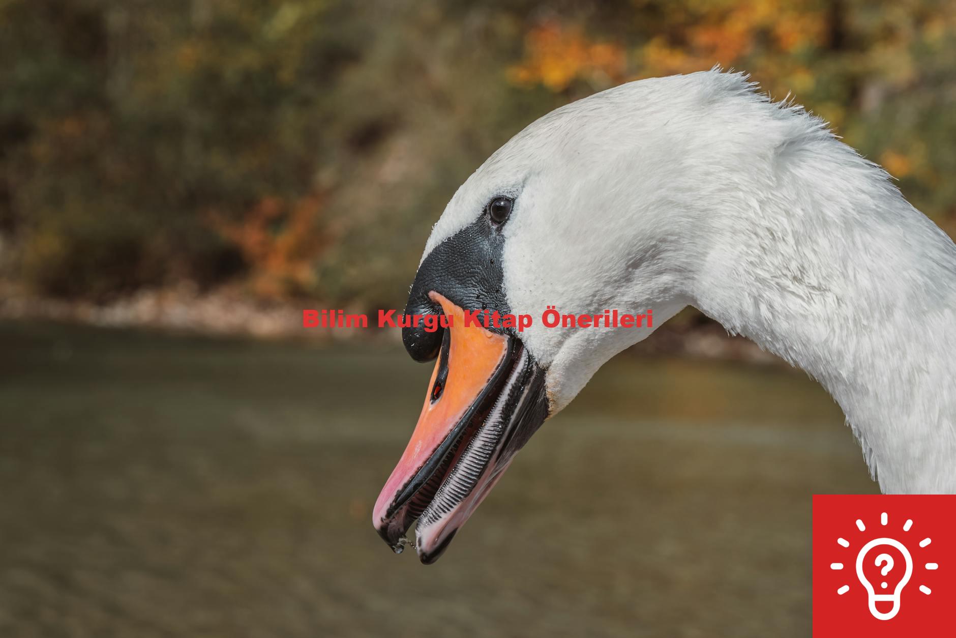 Bilim Kurgu Kitap Önerileri
