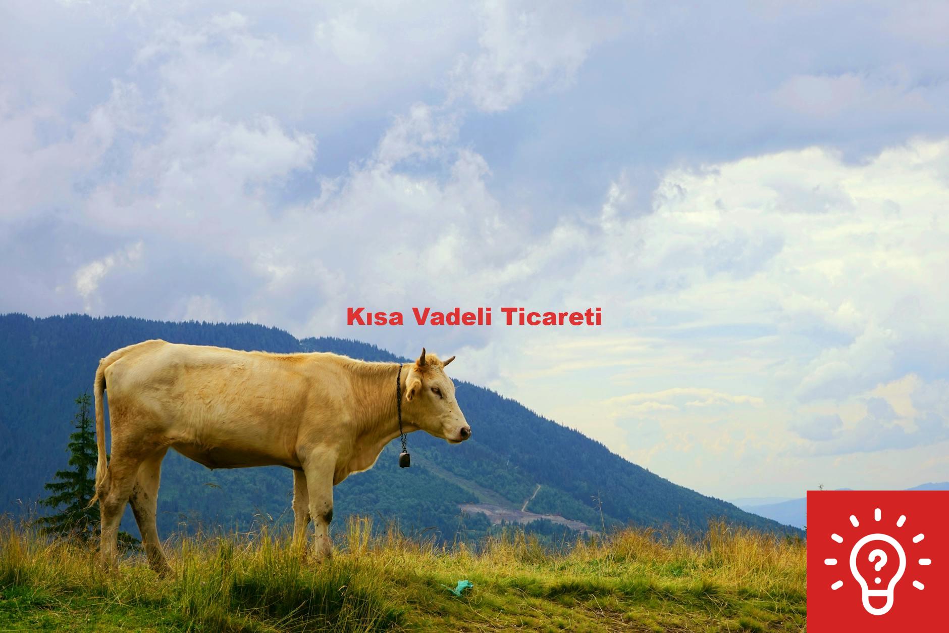 Kısa Vadeli Ticareti
