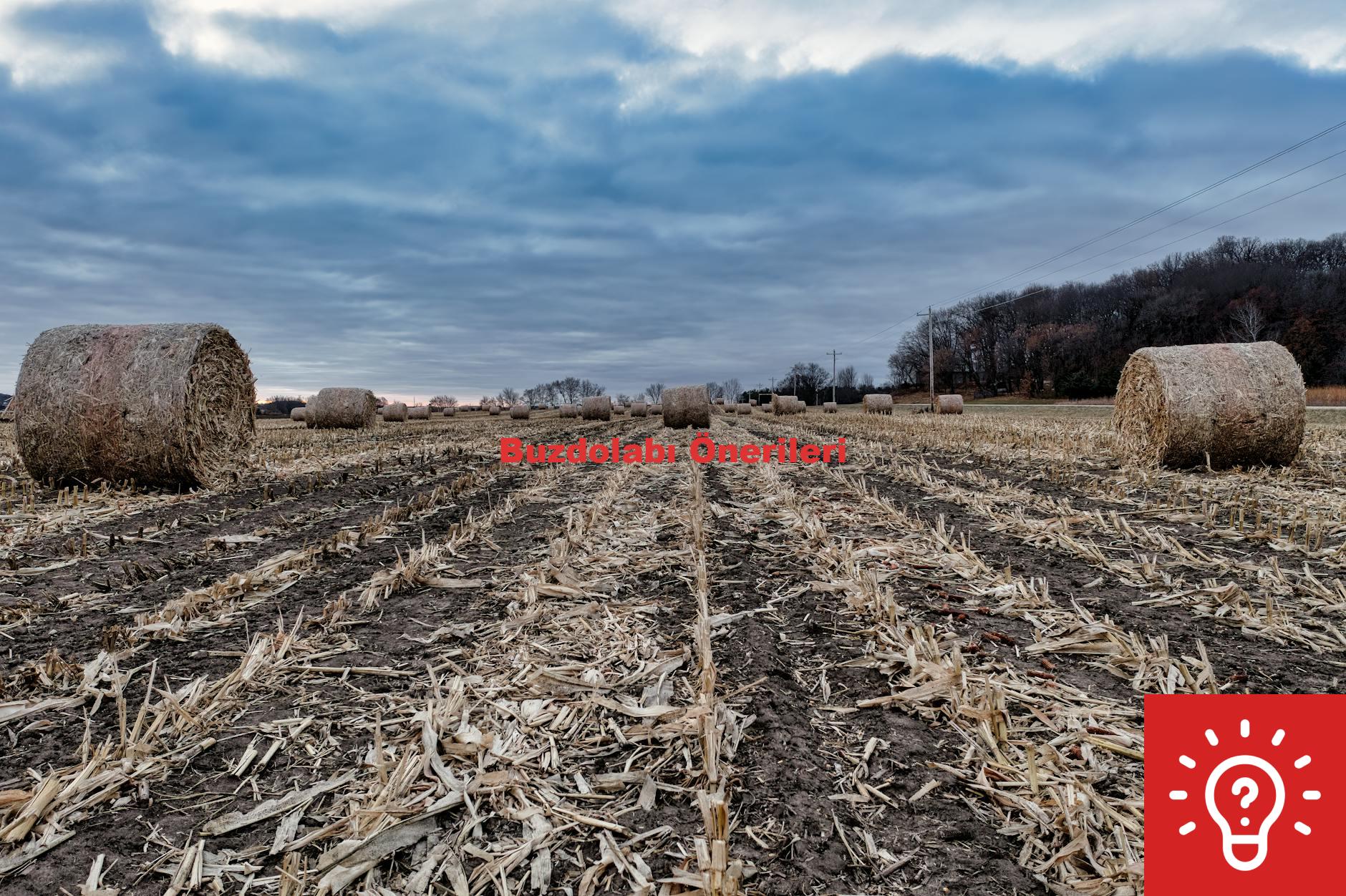 Buzdolabı Önerileri