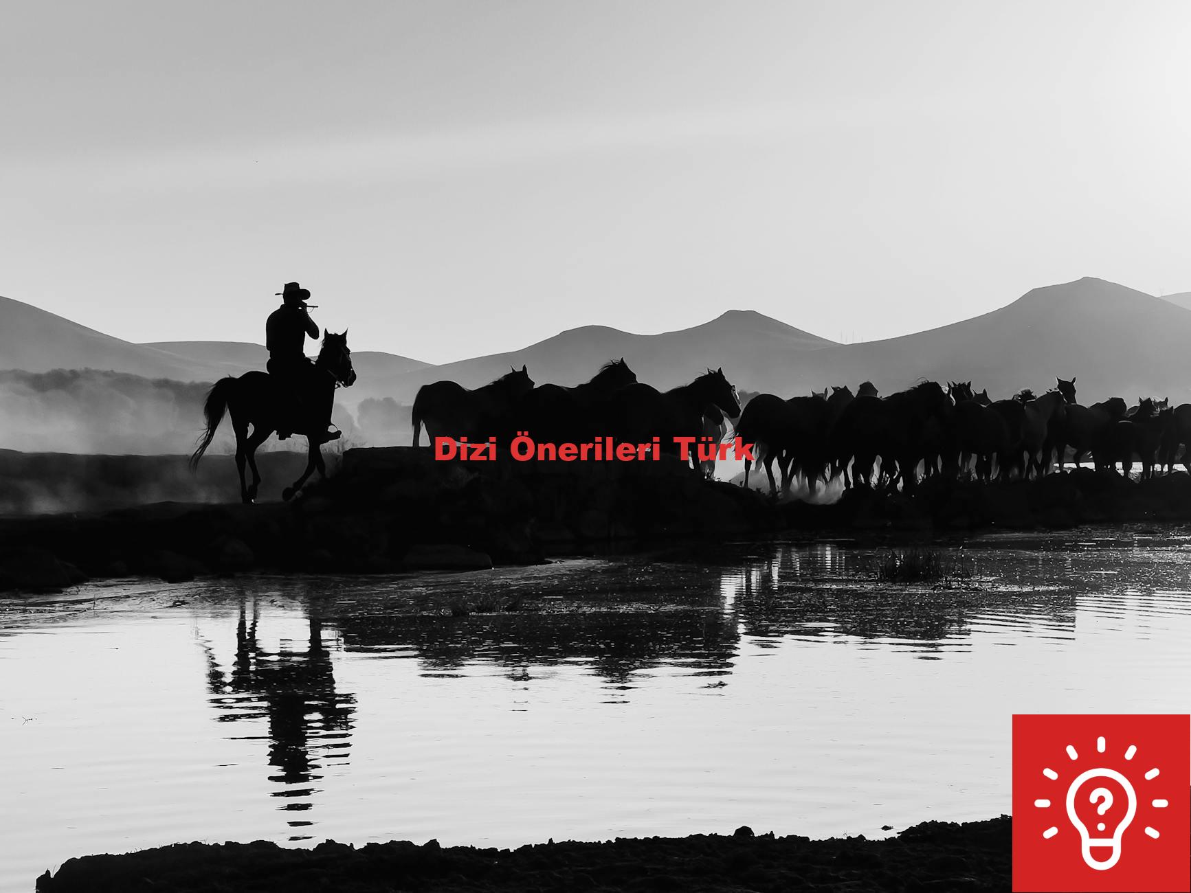 Dizi Önerileri Türk