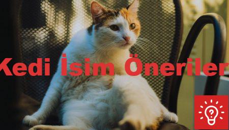 Kedi İsim Önerileri