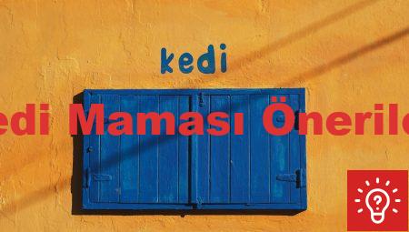Kedi Maması Önerileri