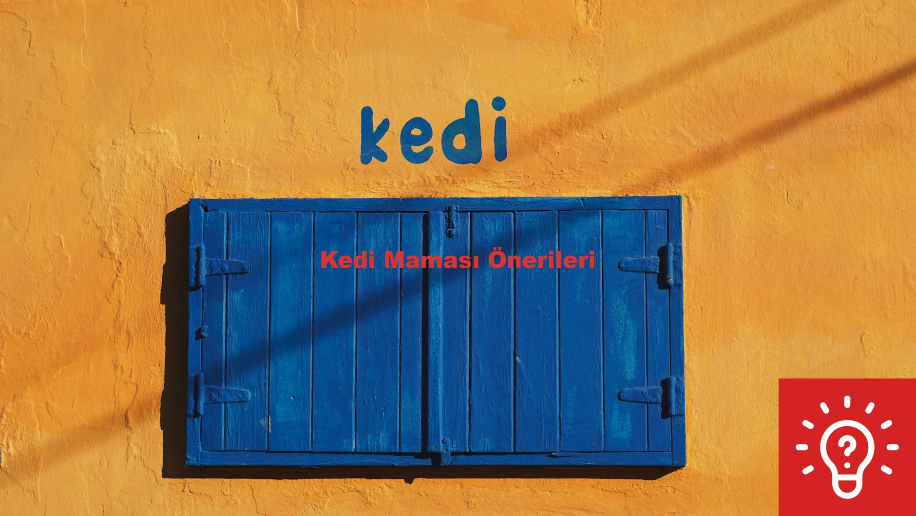 Kedi Maması Önerileri