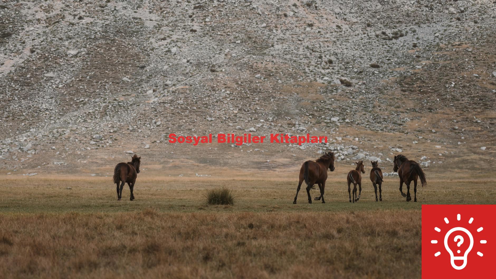 Sosyal Bilgiler Kitapları