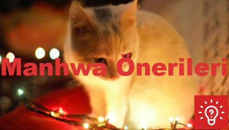 Manhwa Önerileri