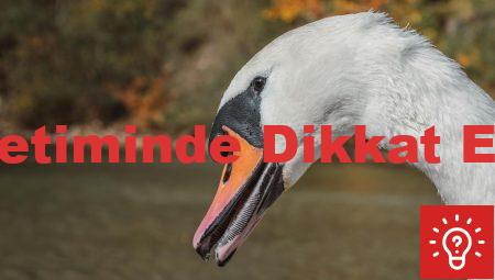 Fason Kozmetik Üretiminde Dikkat Edilmesi Gerekenler