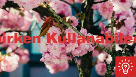 Almanca Öğrenirken Kullanabileceğiniz Oyunlar