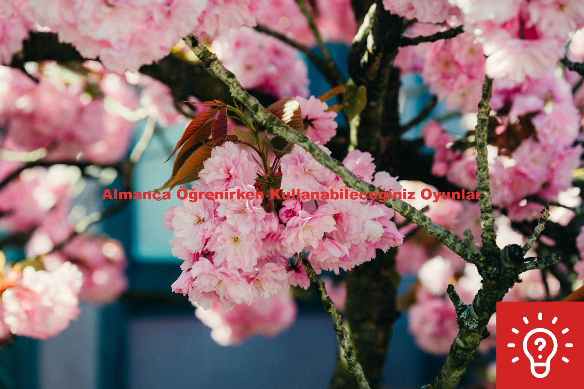 Almanca Öğrenirken Kullanabileceğiniz Oyunlar