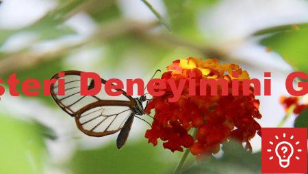 Oto Servisinde Müşteri Deneyimini Geliştirmenin Yolları