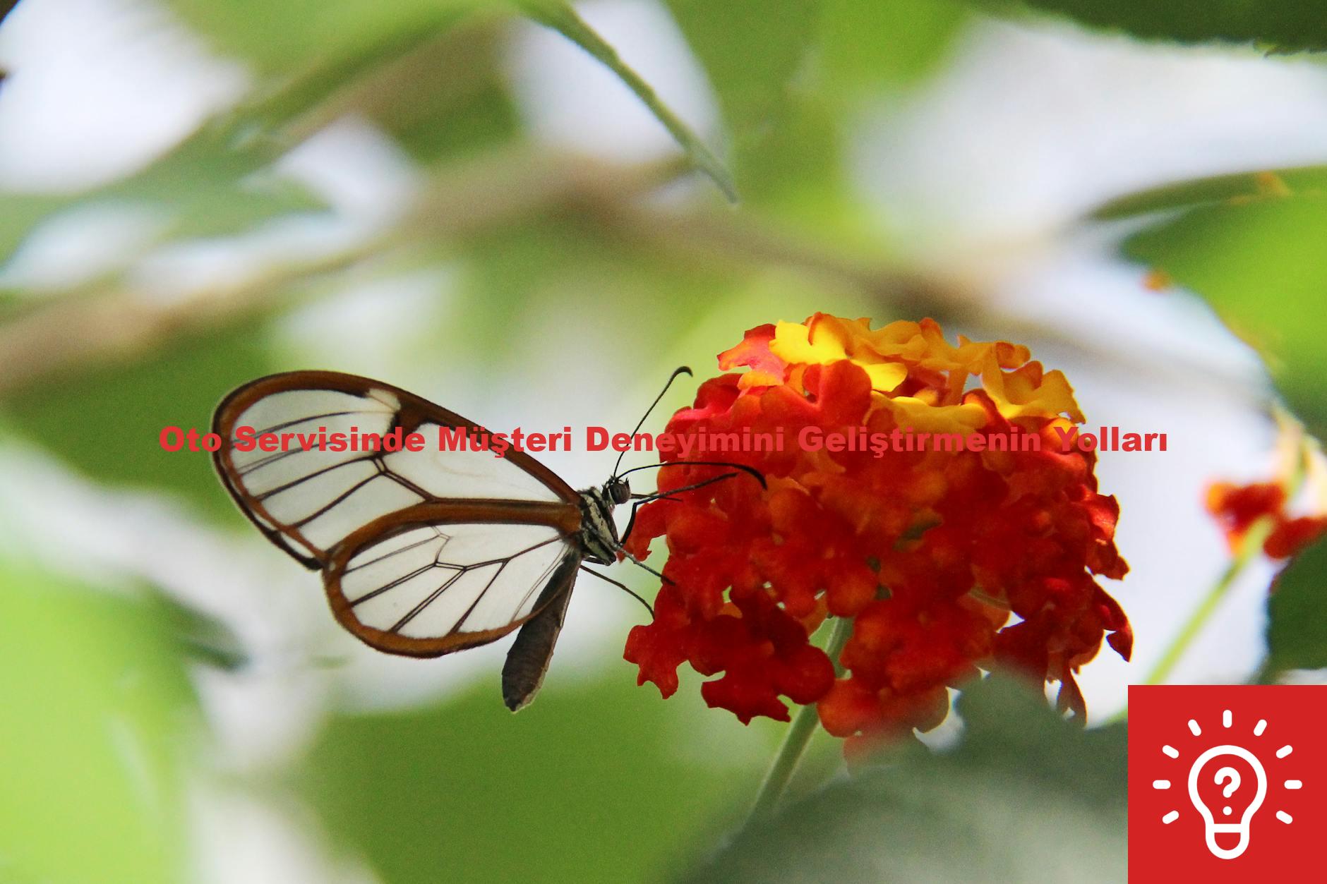 Oto Servisinde Müşteri Deneyimini Geliştirmenin Yolları