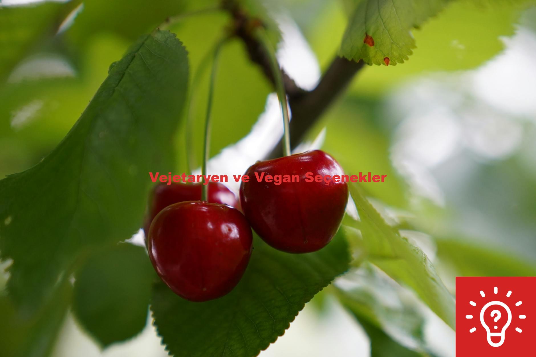 Vejetaryen ve Vegan Seçenekler