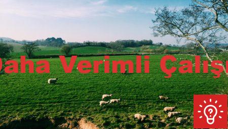 Tavsiyelerle Daha Verimli Çalışmanın İpuçları