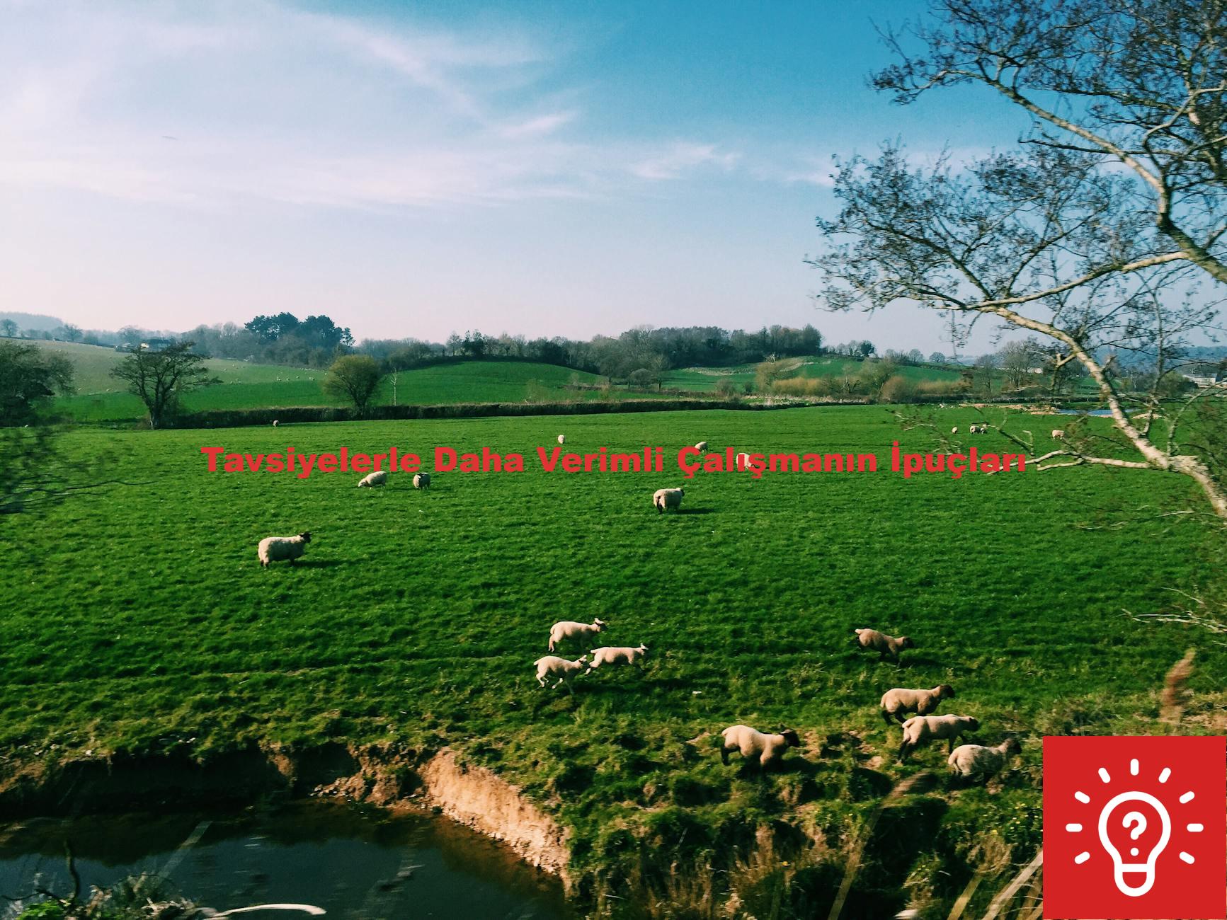 Tavsiyelerle Daha Verimli Çalışmanın İpuçları