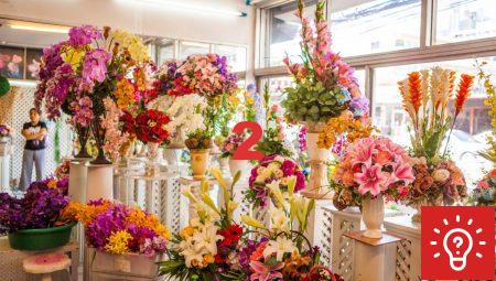 Floksia ile Herkes İçin Uygun Fiyatlı Çiçekler